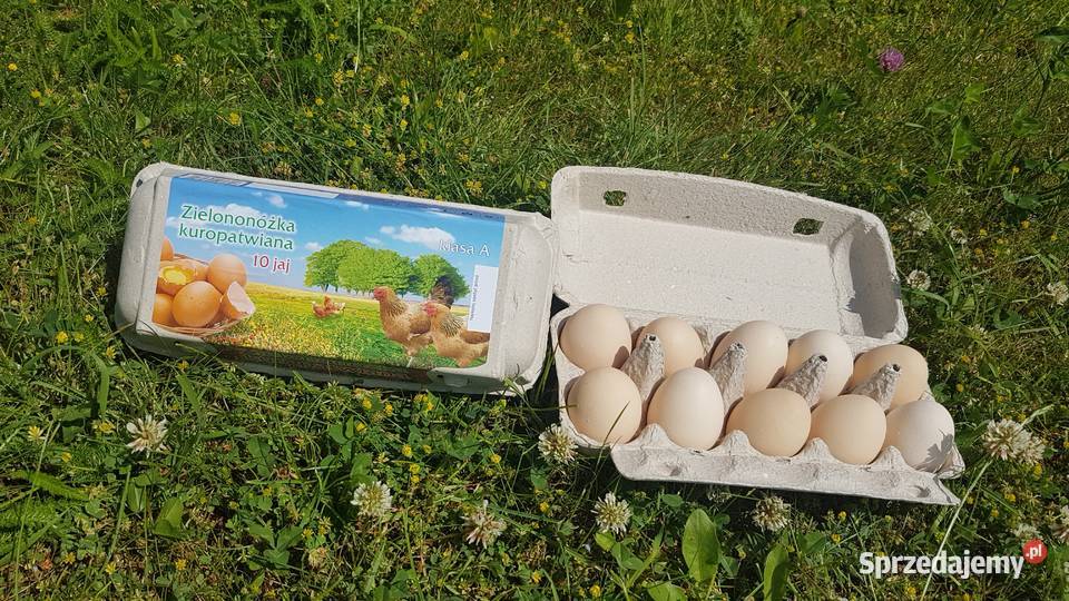Wytłaczanki etykieta Zielononóżka Opakowania na