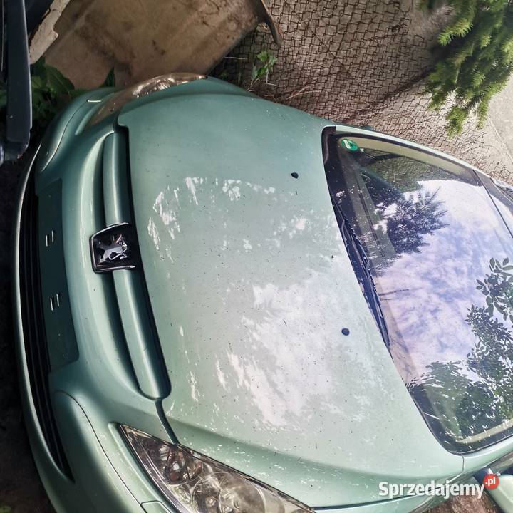 Peugeot 307 sw wszystkie części osobowe Gubin