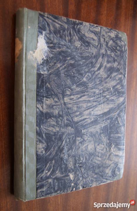 Józef Ignacy Kraszewski Dziecię Starego Miasta Parczew sprzedam