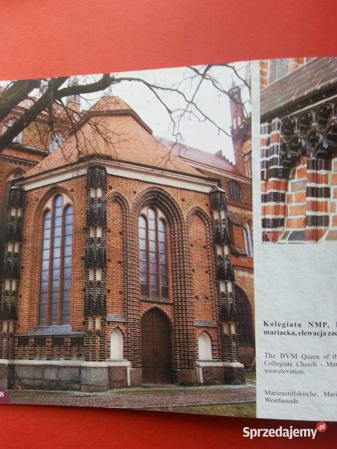 2941 Stargard Gwiazdozbiór Gotyku