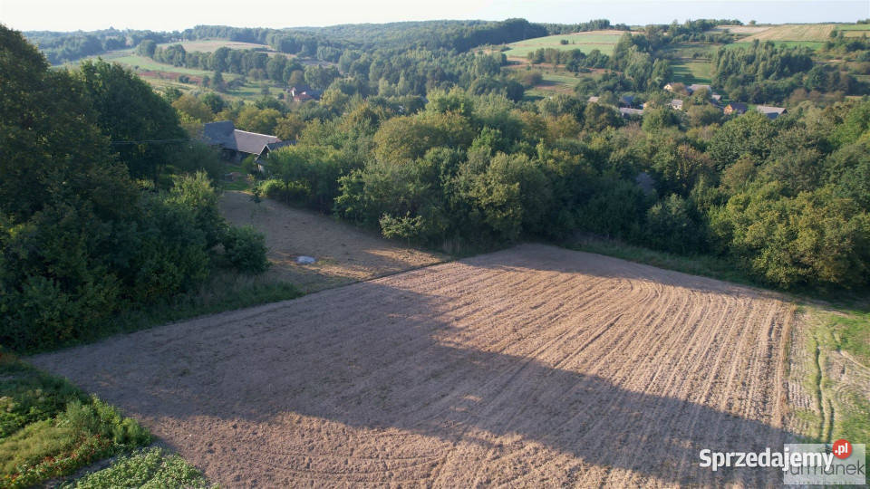 sprzedaży działki Średniówka 2561m2 2561m2