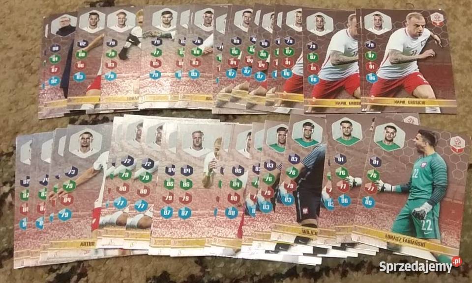 Dumni z naszych karty do albumu z Biedronki sprzedam