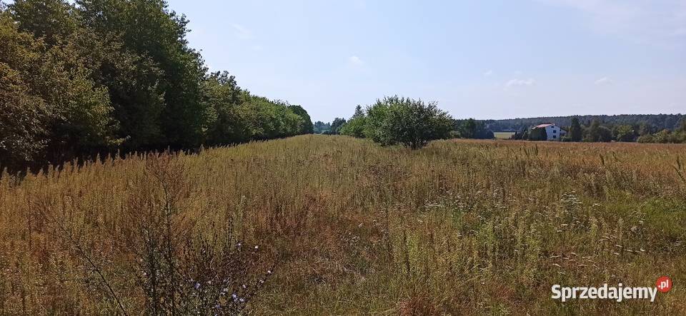 Siemiatycze Żeromskiego DZIAŁKA BUDOWLANA 80zł/m2 podlaskie