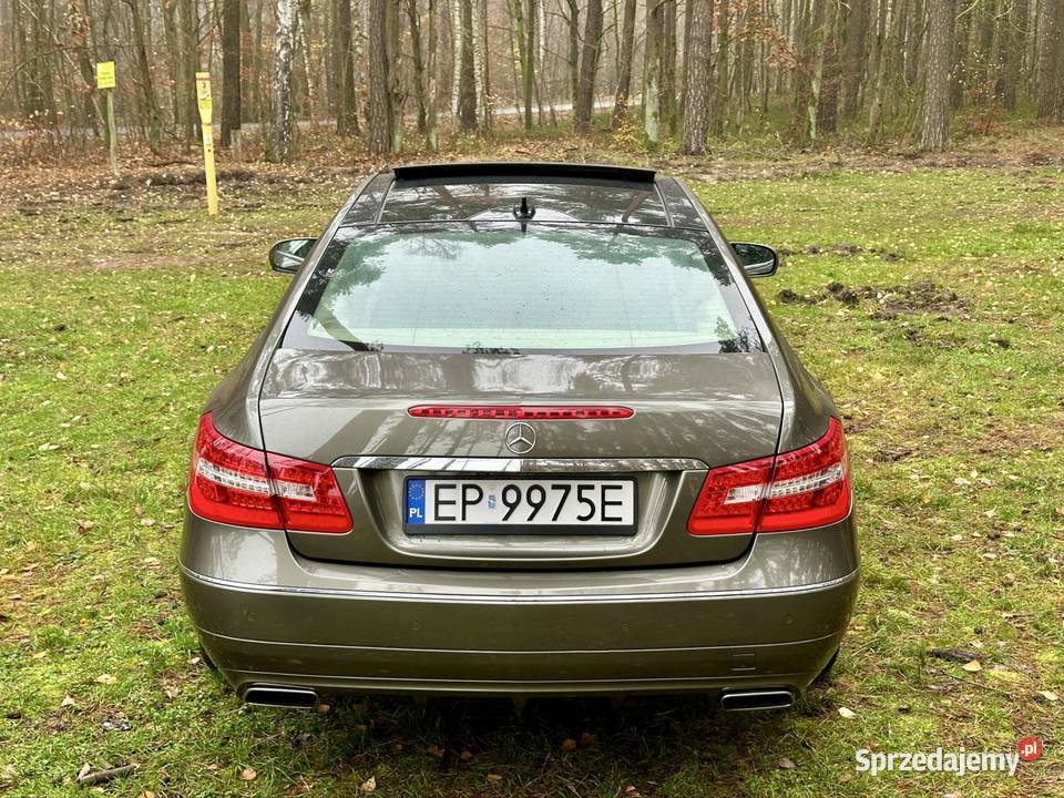 55L V8 M273 LPG Panorama HarmanKardon Distronic autoalarm sprzedam