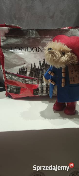 Miś PADDINGTON dolnośląskie Oleśnica
