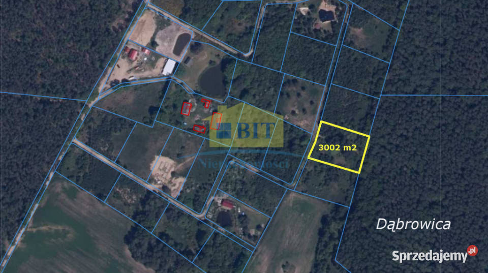 Działka 3002m2 w pięknym miejscu Dąbrowica sprzedam