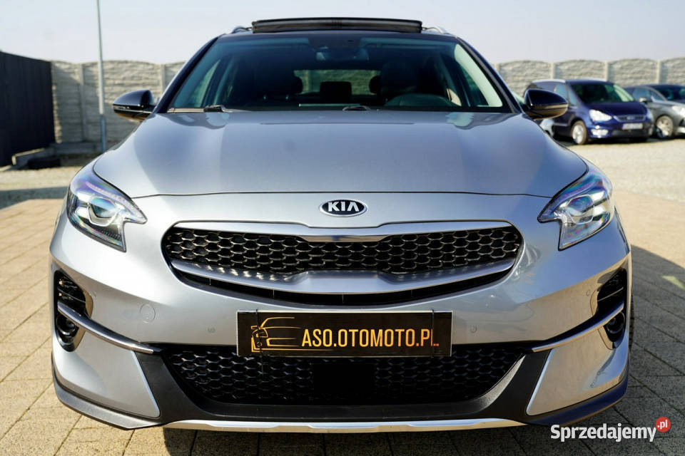 Kia XCeed PLATINUM skóra FUL LED nawi KAMERY Rok produkcji 2022 Otmuchów