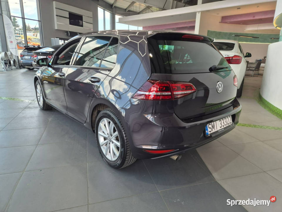 Volkswagen Golf Volkswagen Golf 16 TDI tempomat Golf sprzedam