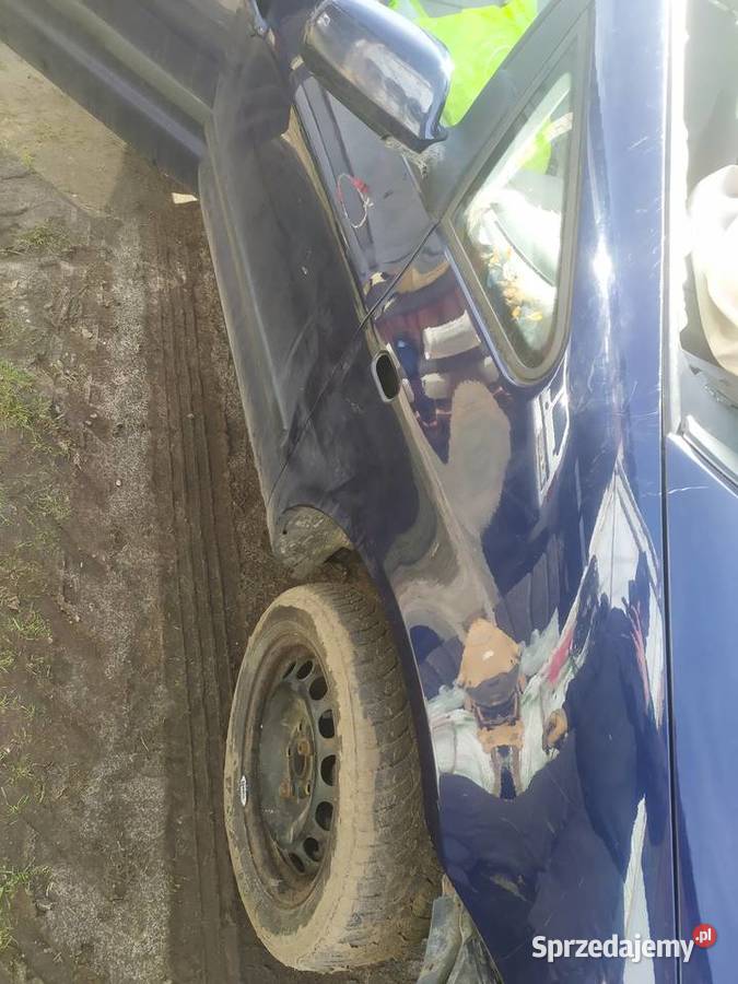 Drzwi Sharan V6 4motion 2000 Karoseria Łagów
