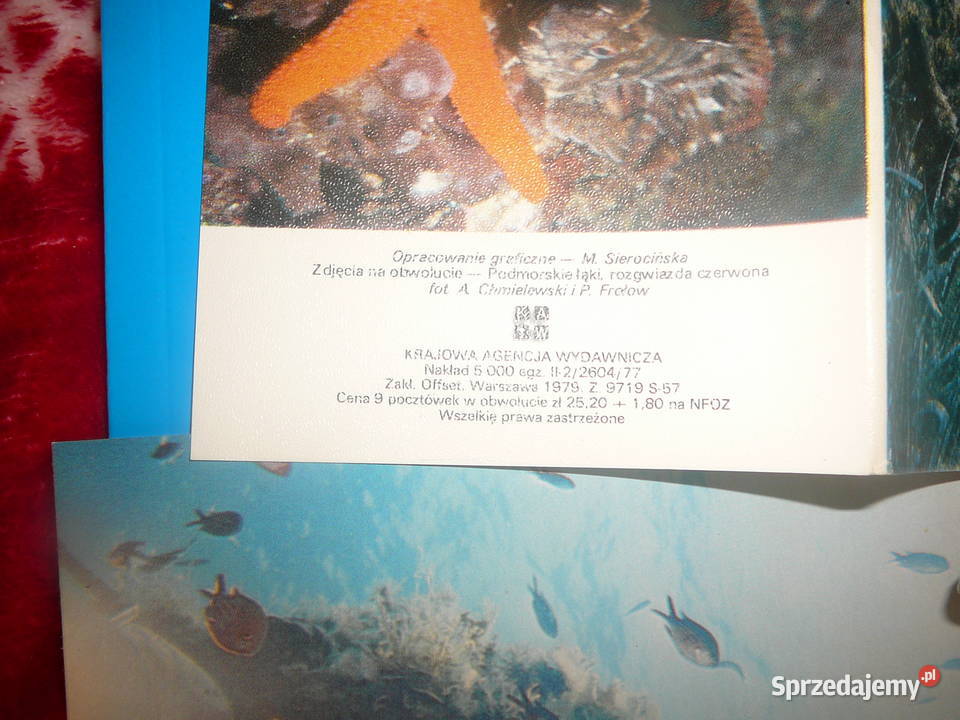 Pocztówka zestaw Podwodny świat morza egejskiego Wrocław