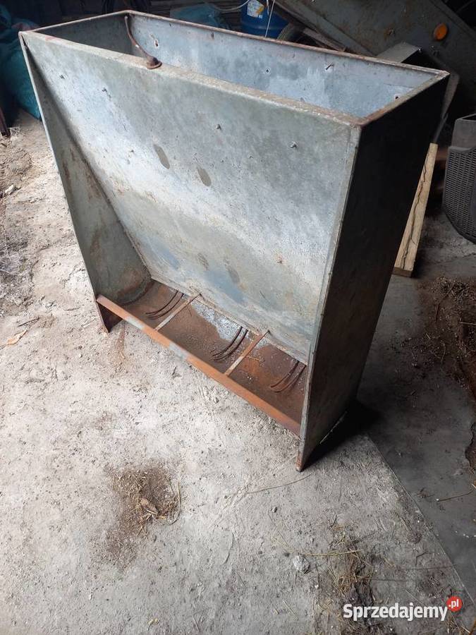 Paśnik trzody chlewnej Dosin