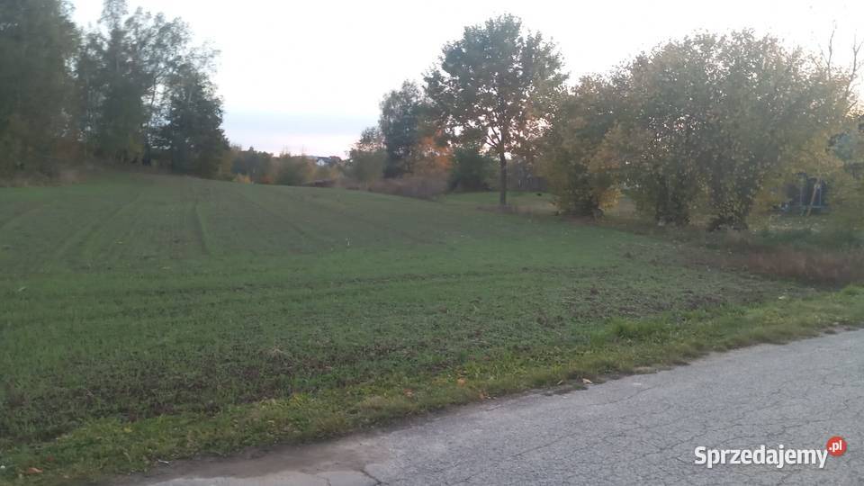 Sprzedam działkę budowlaną z laskiem sosnowym świętokrzyskie Godów