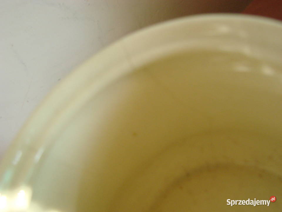 Włocławek fajansowy ścienny pojemnik Pruszcz Gdański sprzedam