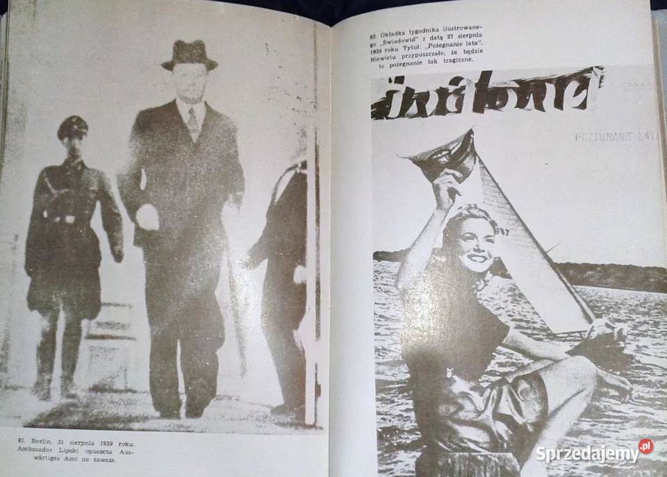 Z dziejów drugiej Rzeczypospolitej Olgierd