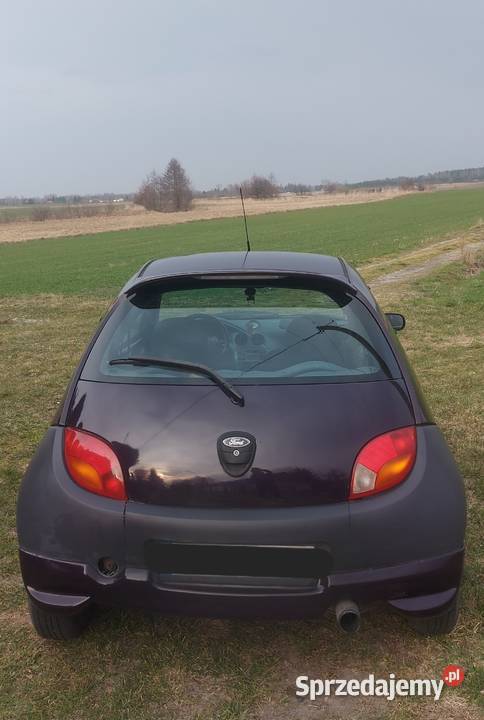 Ford KA 13 Chełm sprzedam