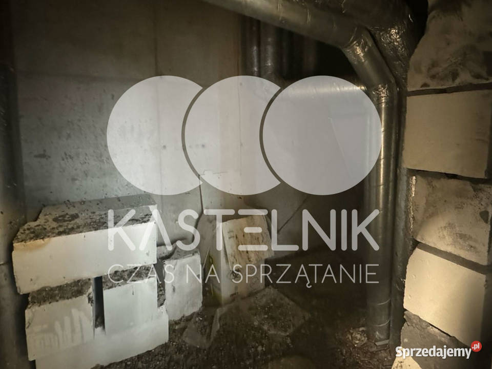 Sprzątanie gołębiach Lubartów Kastelnik mycie