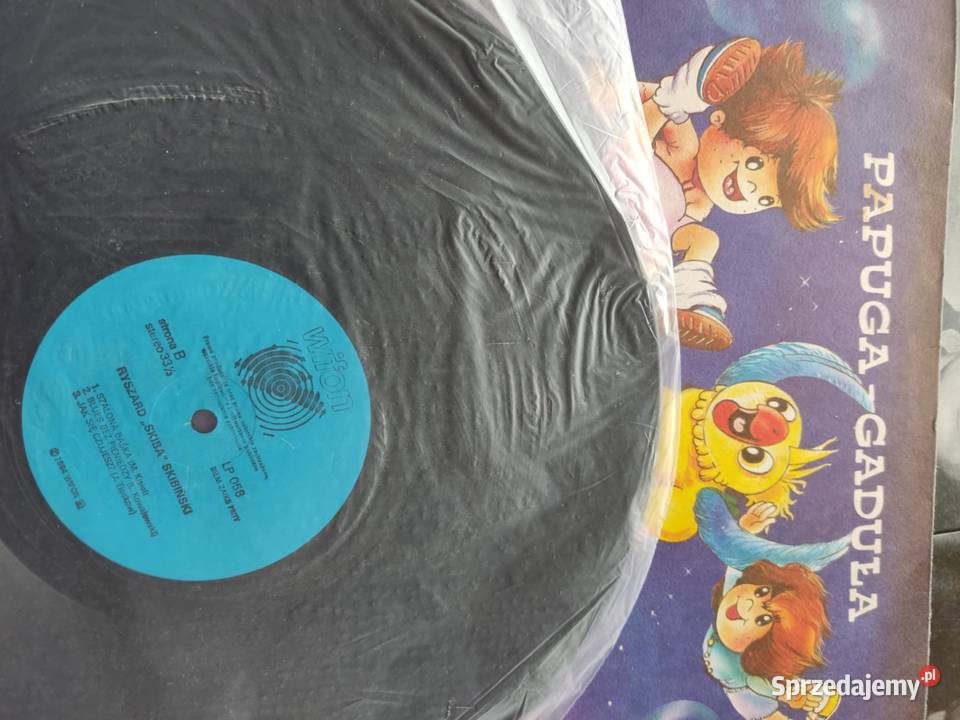 płyty winylowe 18 sztuk wyprzedaż kolekcji Gorzów Wielkopolski sprzedam