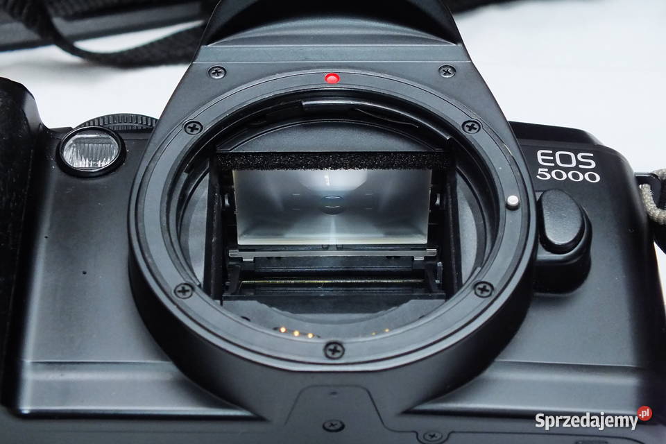 Canon EOS 5000 EF 38764556 EF 802004556 Mk II Lubin