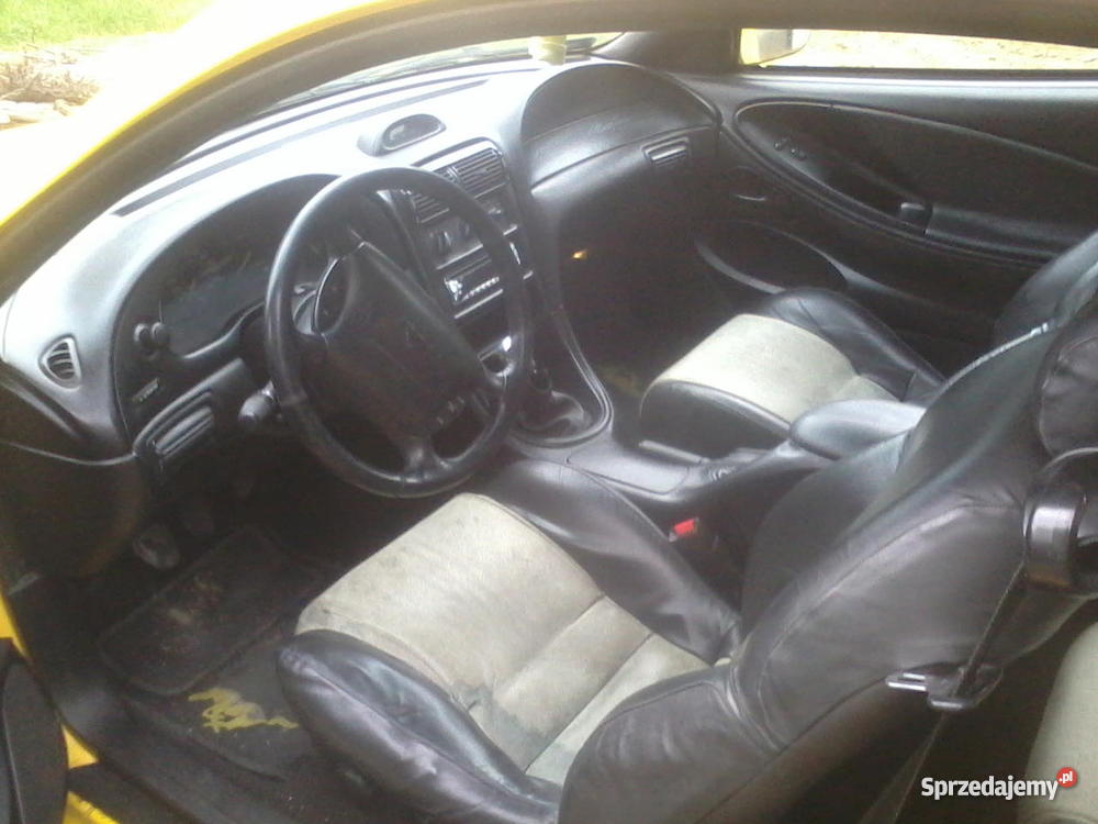 Ford Mustang GT 50 V8 i tani