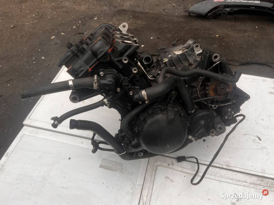 Silnik Triumph Sprint RS 955 Ostrów Wielkopolski