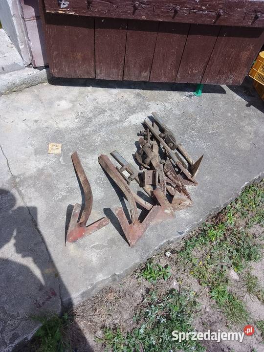 Gęsie stopy nieuszkodzony