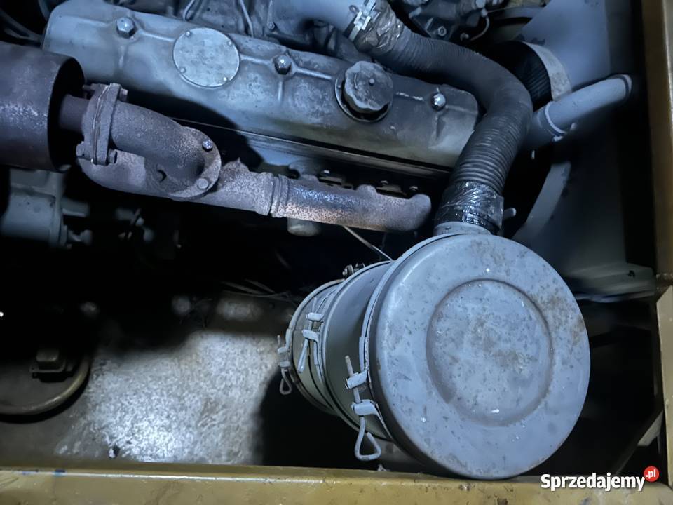 Ładny Bizon Z 40 dolnośląskie