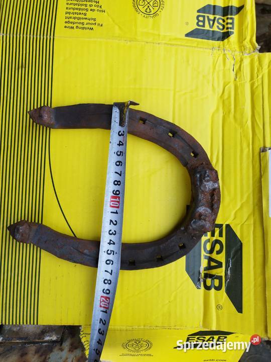 Podkowy podkarpackie Gorzejowa