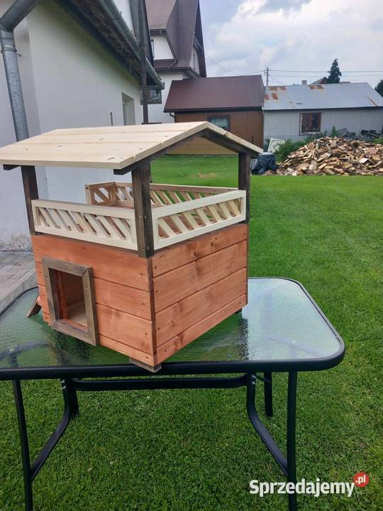 fajn y kojec kota małego pieska Pozostałe małopolskie Kościelisko