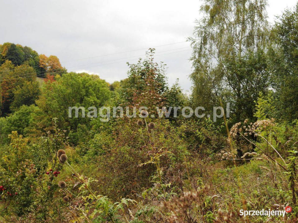 Działka budowlana Łomnica