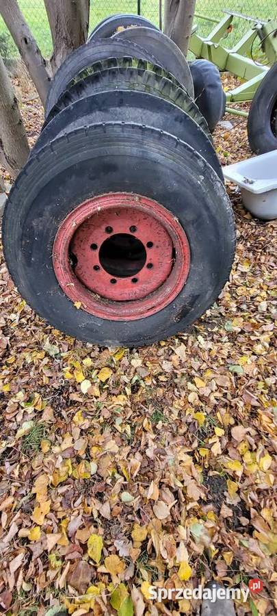 Koła 20 felga autosan d 55 hl hw 8 śrub Do przyczep rolniczych Przybysławice