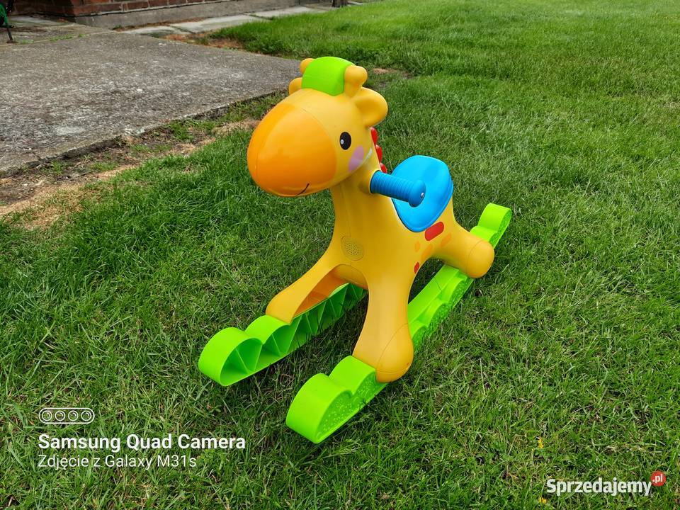 FISHER GRAJĄCA ZEBRA NA BIEGUNACH BUJAK sprzedam