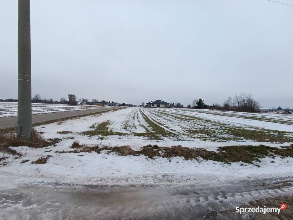 Działka rolnobudowlana BorkiKosiorki 38m Borki-Kosiorki