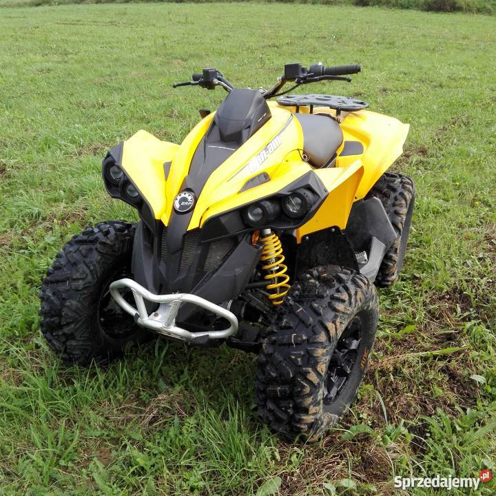 Can am renegade g2 800