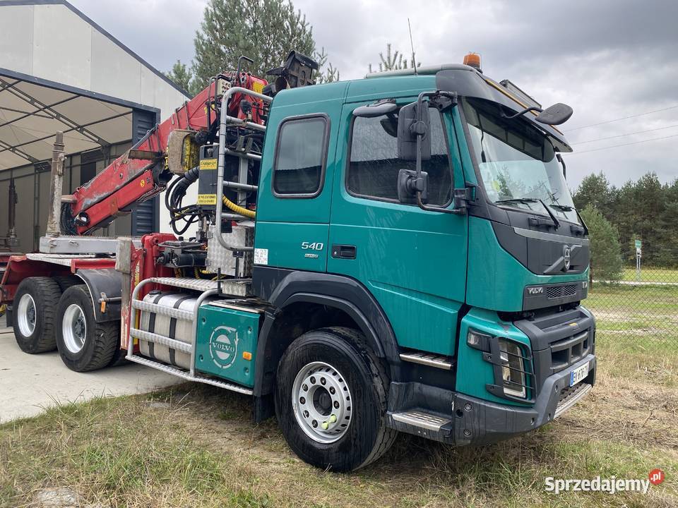 Do drzewa lasu diesel Biłgoraj
