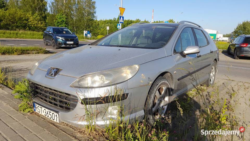 Peugeot 407 SW Kombi 18 115 LPG 2005 W Całości