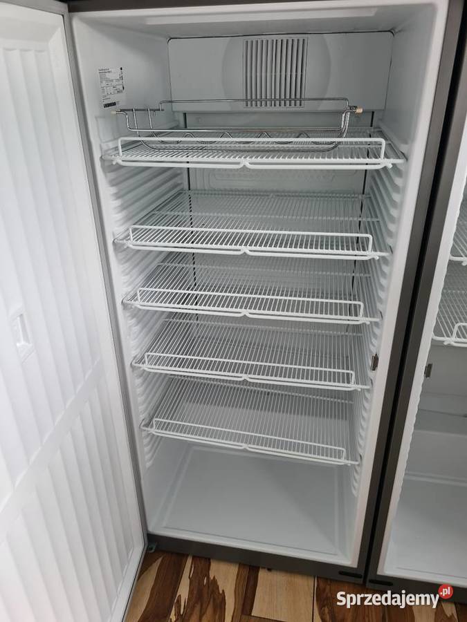 Szafa chtodnicza z dynamicznym chtodzeniem Lidzbark Warmiński