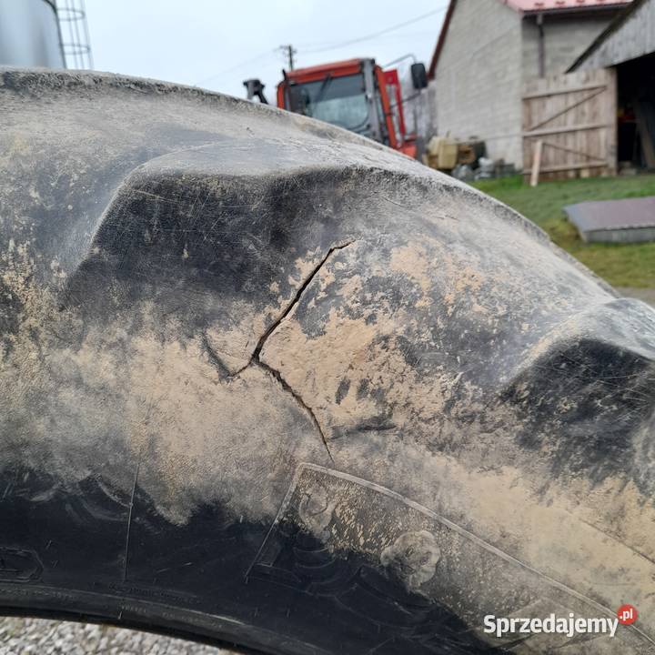 Opona 650 65 R42 Waśniów