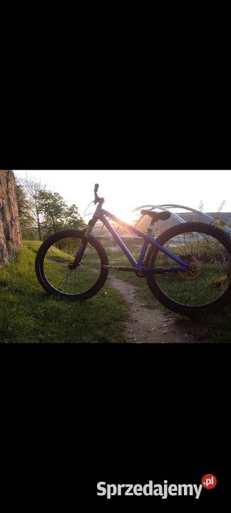 Dartmoor two6player short 2019 Górskie, MTB Nowy Sącz