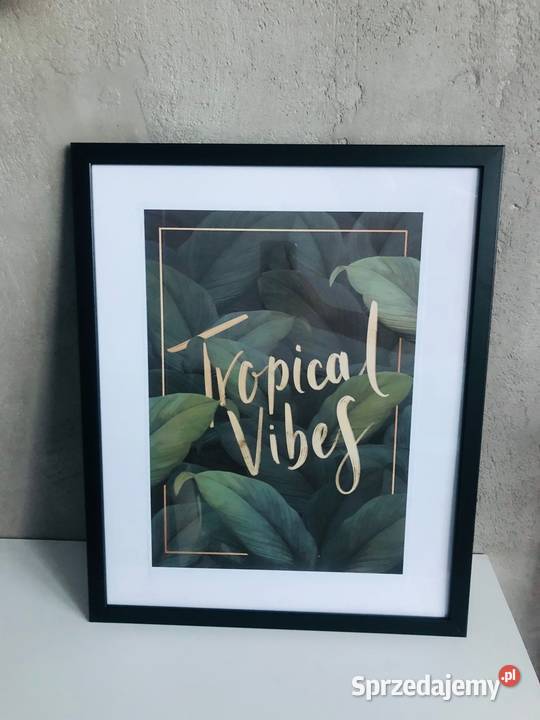 Obraz plakat liście zielony tropikalny 21 x 30 Łódź