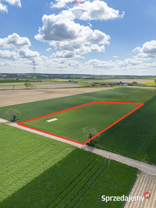 Wyjątkowa działka przemysłowa w Gołuskach Gołuski