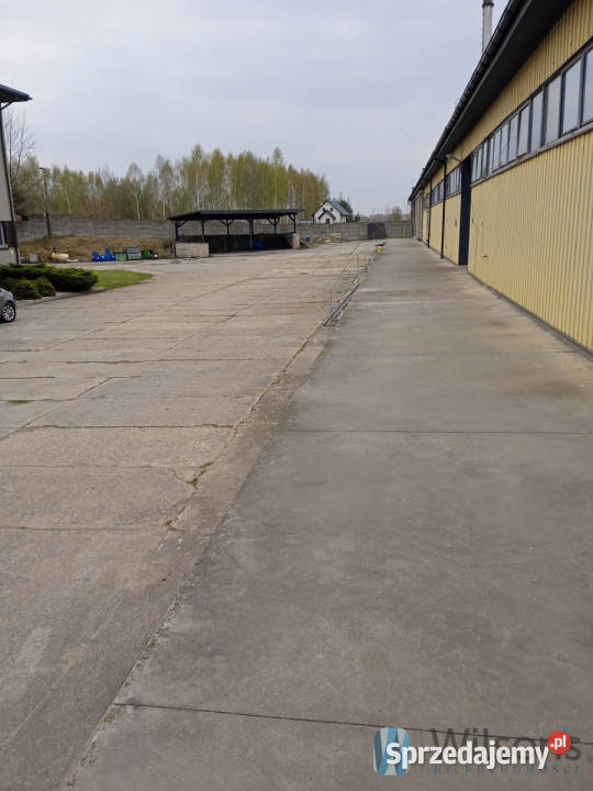 Lokal 1894m2 Radom Nieruchomości sprzedam