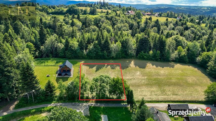 Działka Werlas 10000m2 sprzedam