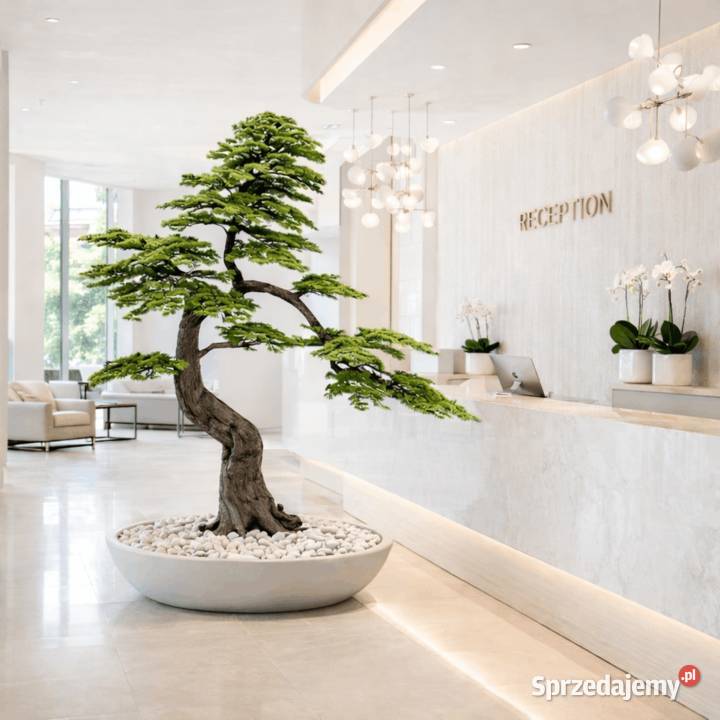 Sztuczne drzewko bonsai 200 żywe duże bonsai do małopolskie Golkowice
