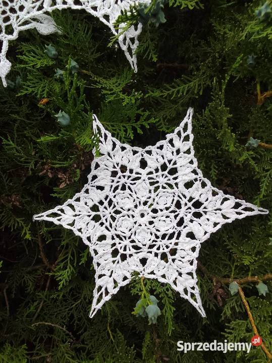 Gwiazdki śnieżynki Bydgoszcz