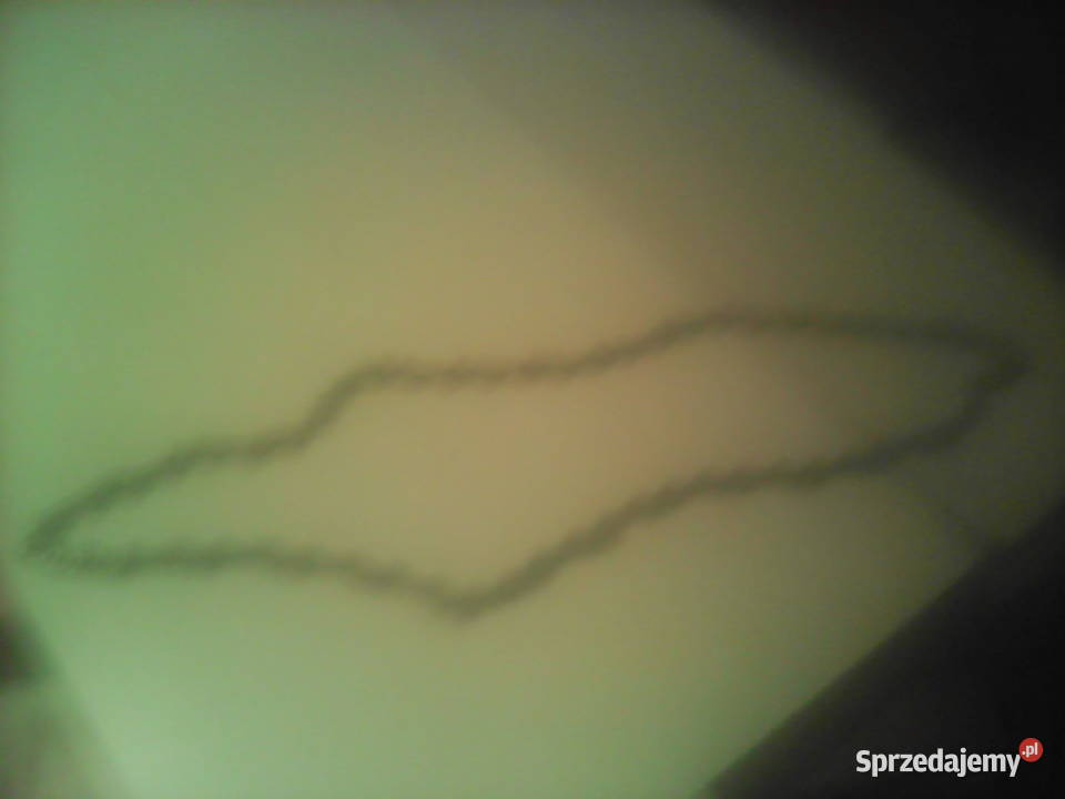 Lańcuch do pilarki łań cuchowejnowy Luboń sprzedam