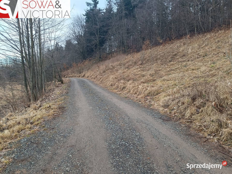Widokowa działka na obrzeżach Wałbrzycha Wałbrzych sprzedam