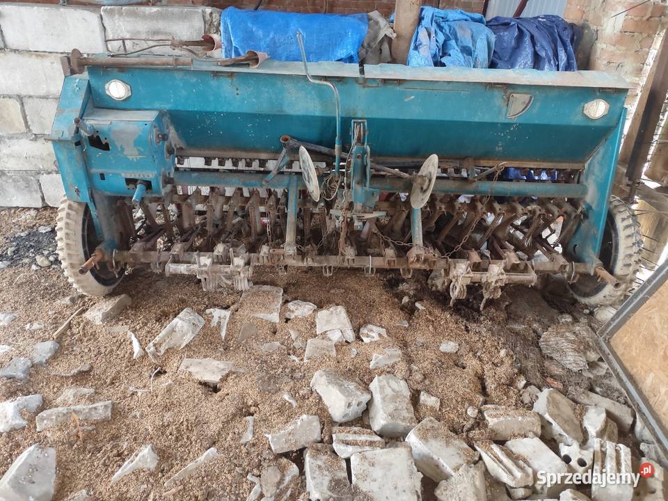 Siewnik poznaniak Zamość