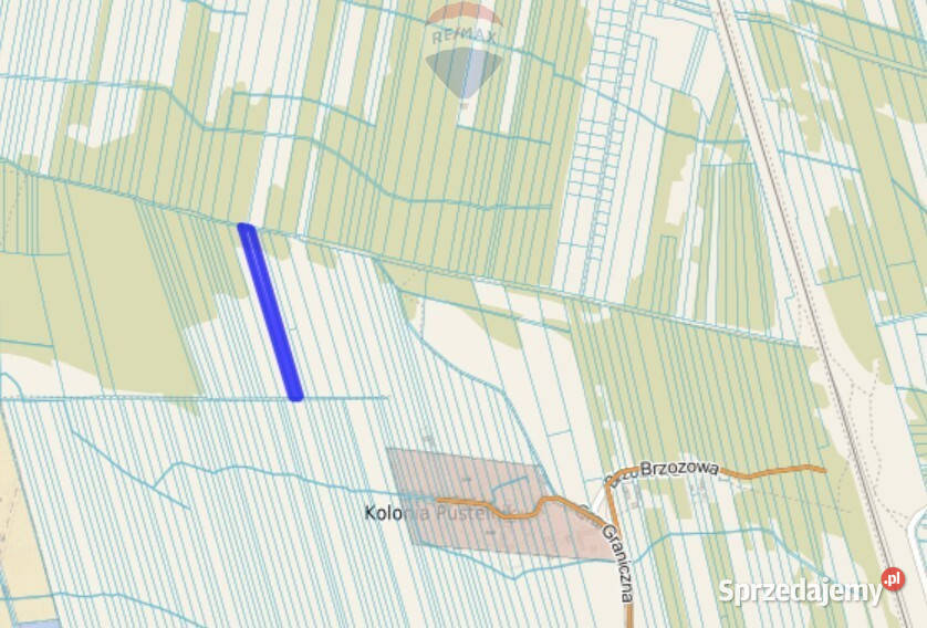 Działka rolna z samosiejkami