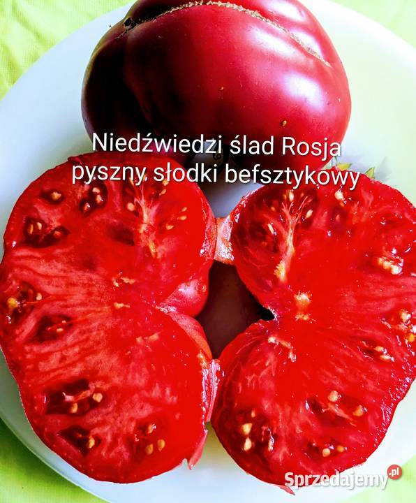 Niedźwiedzi Ślad Kraków sprzedam