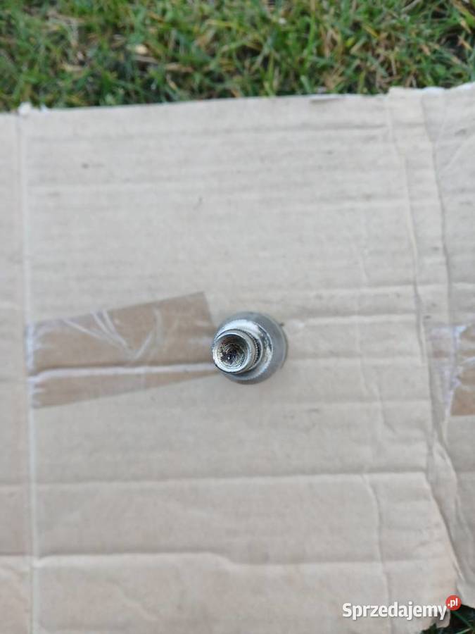 Tawotnica motoru shl